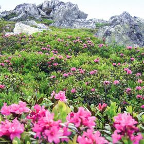 Apartman Pöllau am Greim - AST118