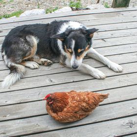 Apartman Ausserbraz - AVO107