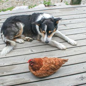 Apartman Ausserbraz - AVO107