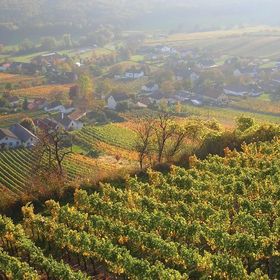 Vendégház Gerersdorf - ABU139