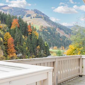 Apartman Viehhofen - ASA940