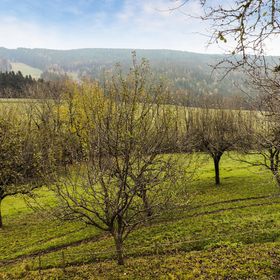 Vendégház Fischbach - AST184