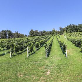 Vendégház Eltendorf - ABU177