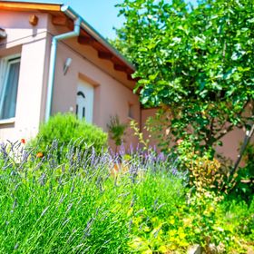 Ginkgo Vendégház Pécs