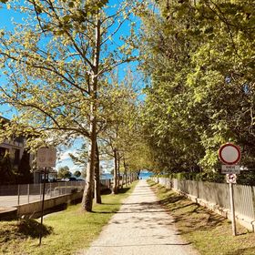 Mimi Apartments Zamárdi