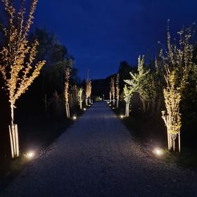 Intertranscoop Lake House Vámosszabadi