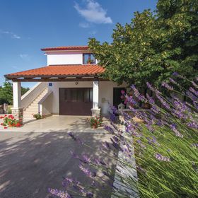 Apartman Pazin - CIC218