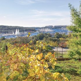 Apartman Pula - CIR077