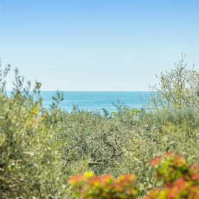 Apartman Lovrečica - San Lorenzo - CIU815