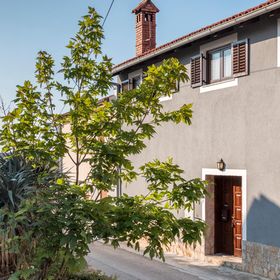 Apartman Ližnjan - CIZ244