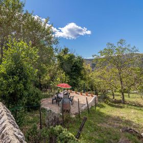 Apartman Grižane-Belgrad - CKC821