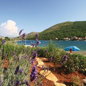 Apartman Grebaštica - CDV664