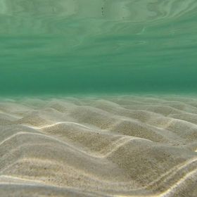 Vendégház Sabunike - CDN812