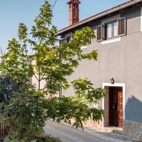 Apartman Ližnjan - CIZ268