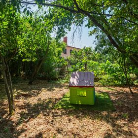 Apartman Valbandon - CIF846