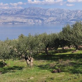 Vendégház Postira - CDB396