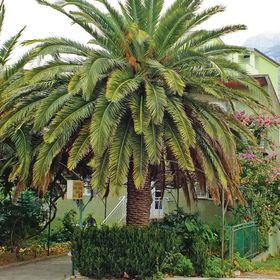 Apartman Makarska - CDE830