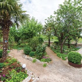 Apartman Bilice - CDV088