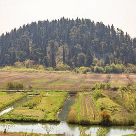 Apartman Rogotin - CDR420