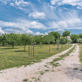 Vendégház Oštrobradić - CKI188