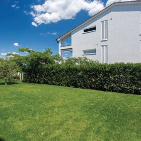 Apartman Malinska - CKK813