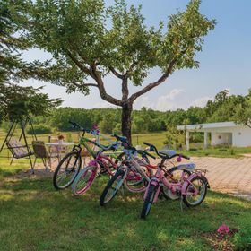 Vendégház Vinjani - CDF983