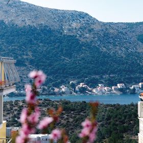 Apartman Šibenik - CDV840