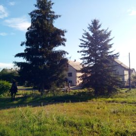 Fenyőfa Vendégház Szilvásvárad