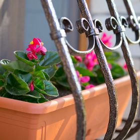 Forrás Apartman Eger