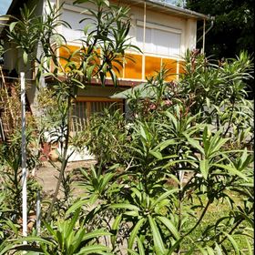 Elizabeth Apartman Hajdúszoboszló