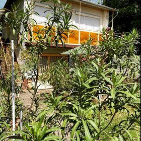 Elizabeth Apartman Hajdúszoboszló