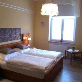 Pension ELEKTRA Mariánské Lázně