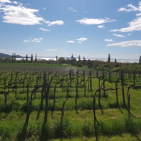 Villa Bella Vista Vendégház Balatonederics