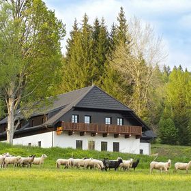 Dvůr Lískový vrch Strážný