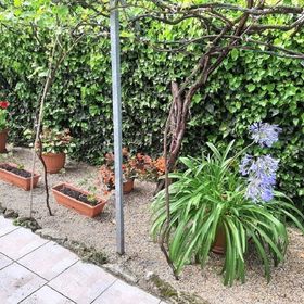 Aleksa Apartman Lesencetomaj