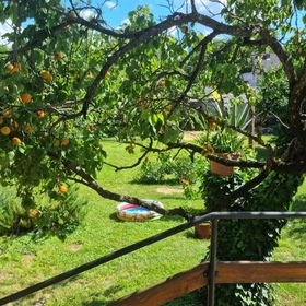 Primavera Vendégház Keszthely