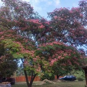 Selyemakác Vendégház Vereb