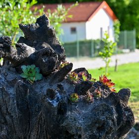 Patak-Parti Pihenő Vászoly