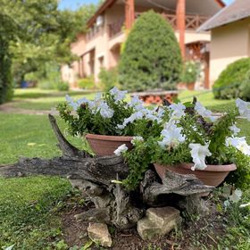 Marika Vendégház Villány