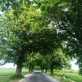 Bogi Ház Apartman Lipót