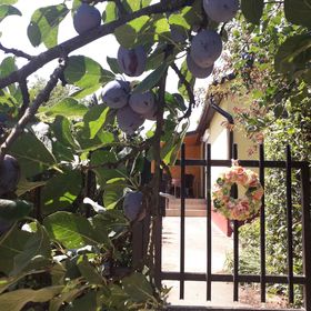 Retro Apartman Borgáta