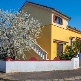 Apartman Pula - CIR481