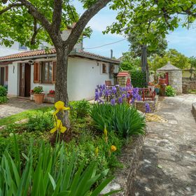 Vendégház Kanfanar - CIC715