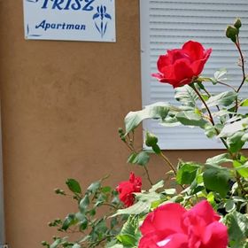 Írisz Apartman Mezőkövesd