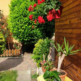 Renáta Vendégház Eger