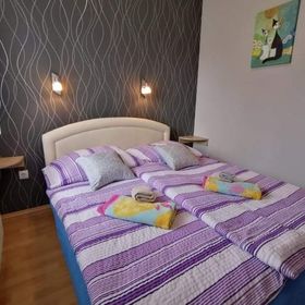 Zöld Béka Apartmanok Kölcsey I. Hajdúszoboszló