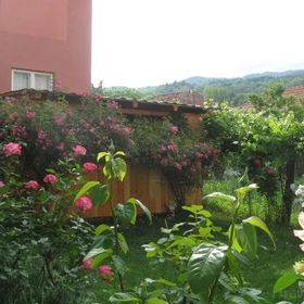 Casa Fabrizio Călimănești