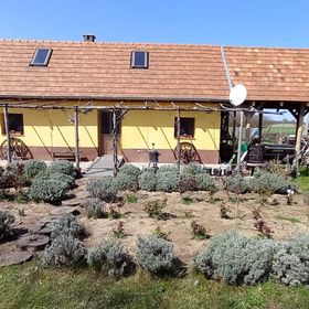 Tanya 360° Lajosmizse