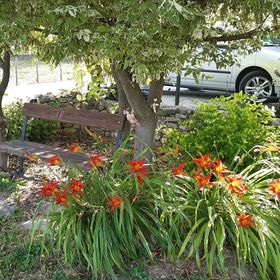 Erzsébet Vendégház Balatonederics