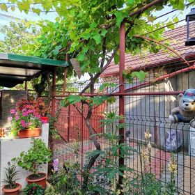 Casa Raducu Năvodari